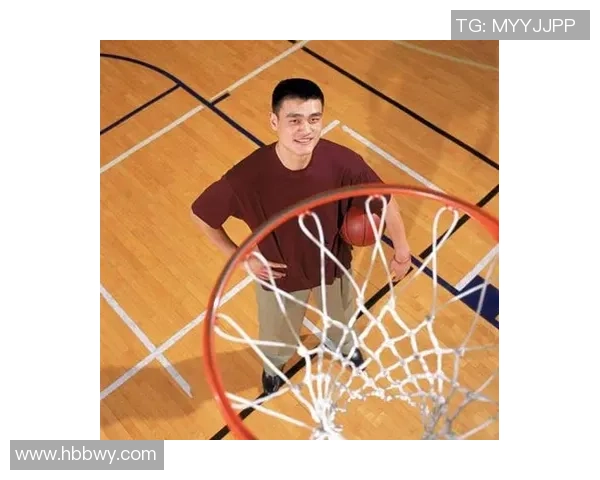 姚明个人图片欣赏与背后故事揭秘，篮球巨星的成长历程与风采展示