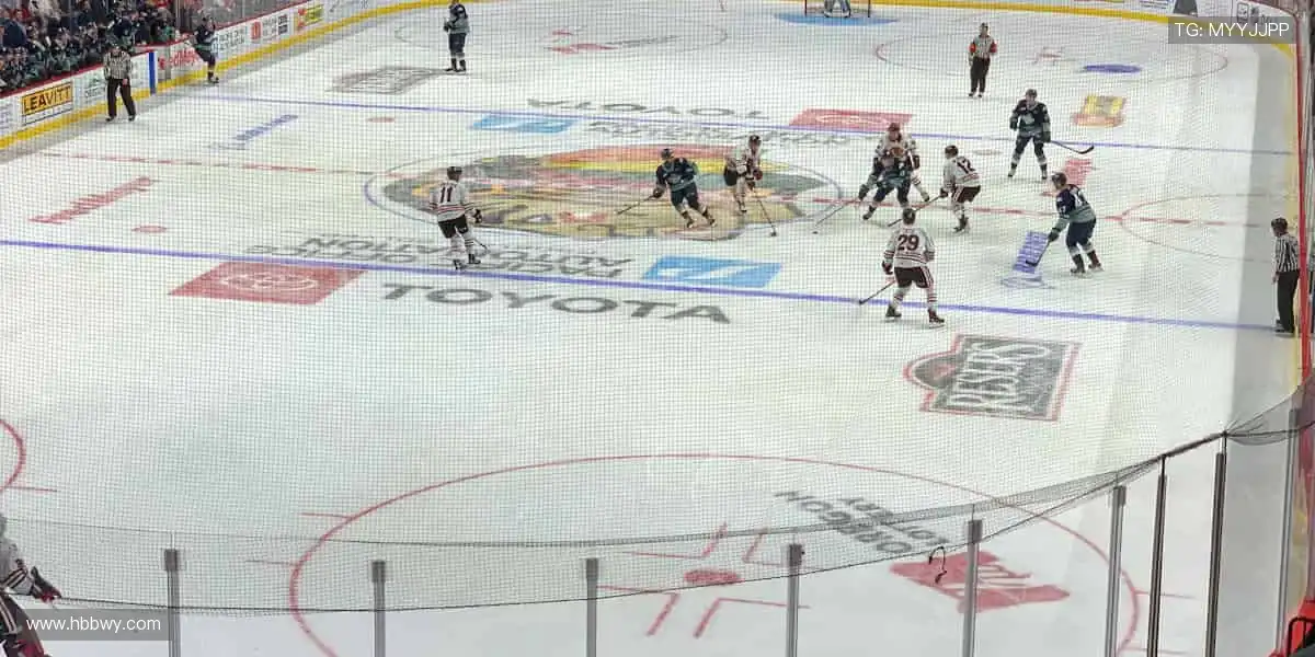 🎁球衣定制,专属荣耀!👕